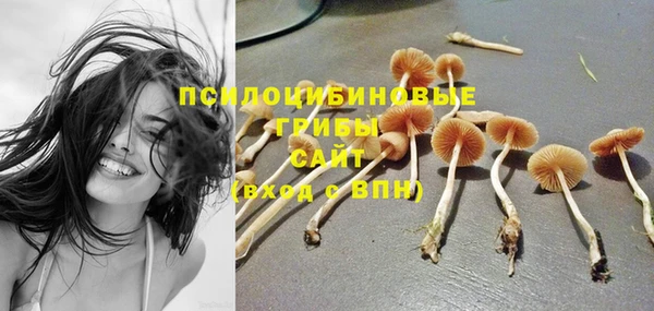 мяу мяу мука Баксан