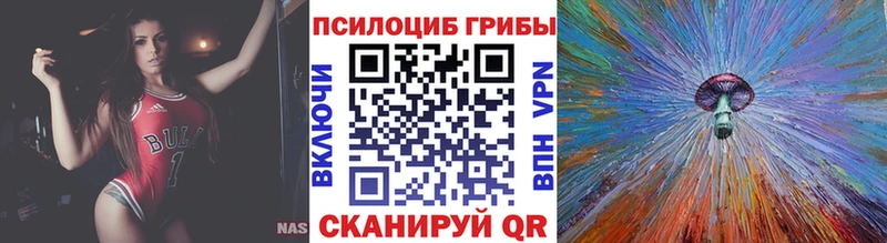 Псилоцибиновые грибы Psilocybe  купить закладку  Озёры 
